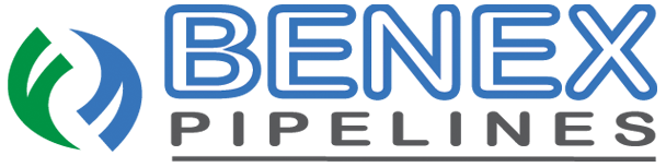 Benex Group Logo